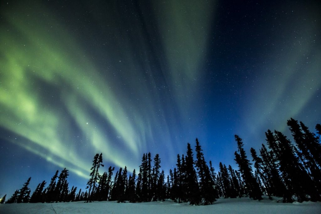 Yukon_Northern Lights (Medium)