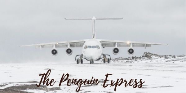 Penguin express