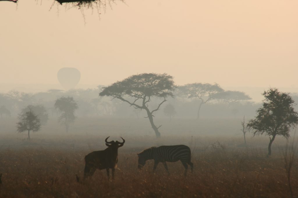 Serengeti Day 3 morning_3026